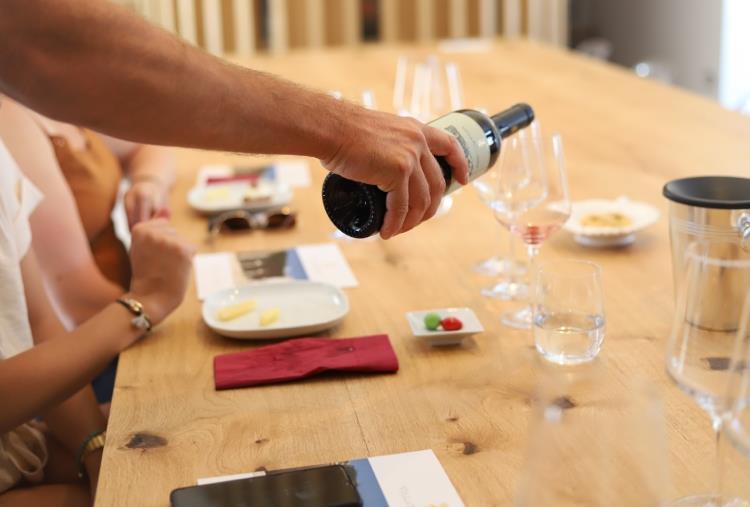 Wine Experience a Trani