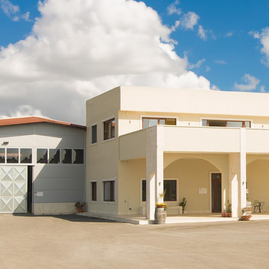 Wine Experience a Conversano –