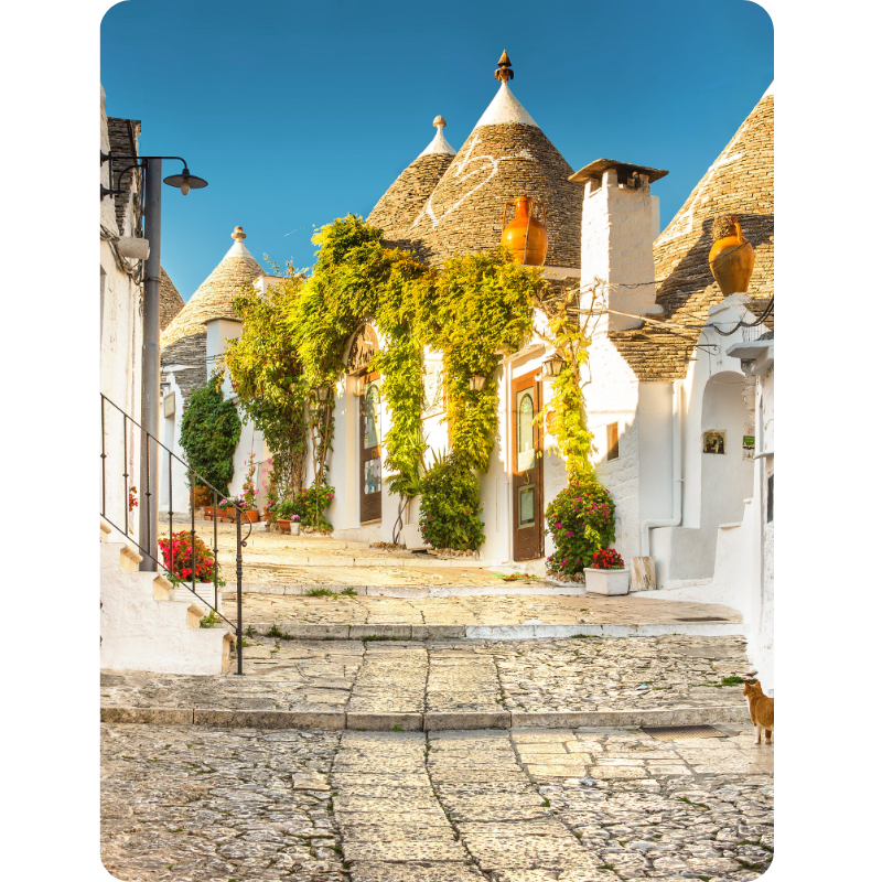 WYCIECZKA PO OBIEKCIE DZIEDZICTWA UNESCO 