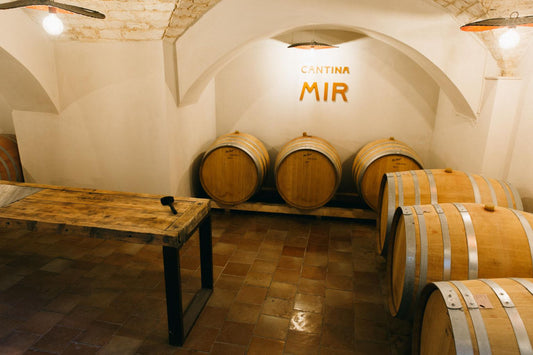 Wine Experience a Locorotondo