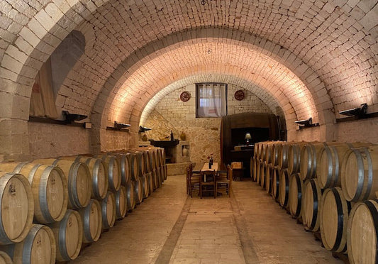 Wine Experience  a Putignano